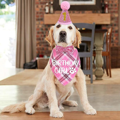 STMK Dog Birthday Outfits - Image 2