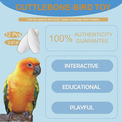 Jmxu's 3.5"-4" Cuttlebone for Birds Natural Cuddle Bone for Parakeets, - Image 3