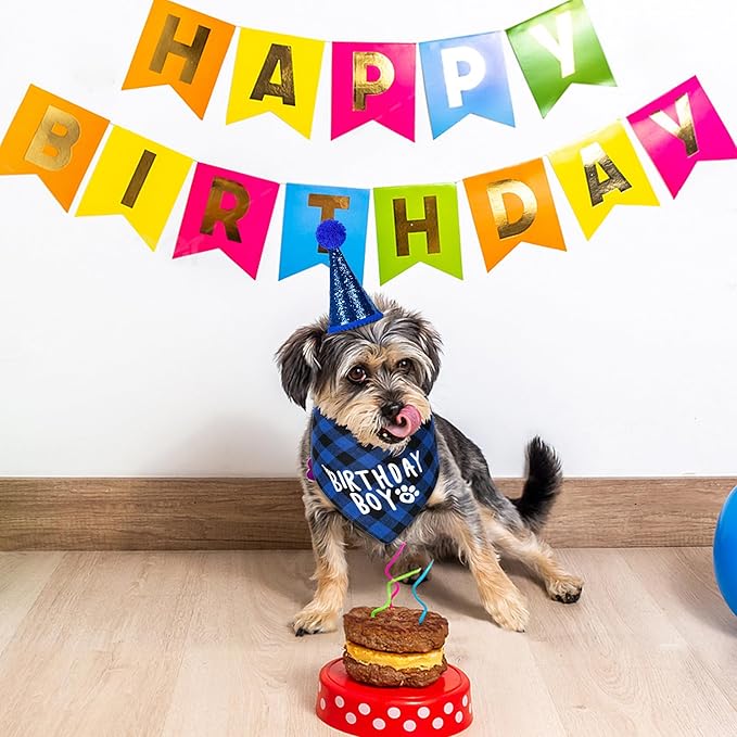 Dog Birthday Party Supplies, Dog Birthday Decorations - Image 7