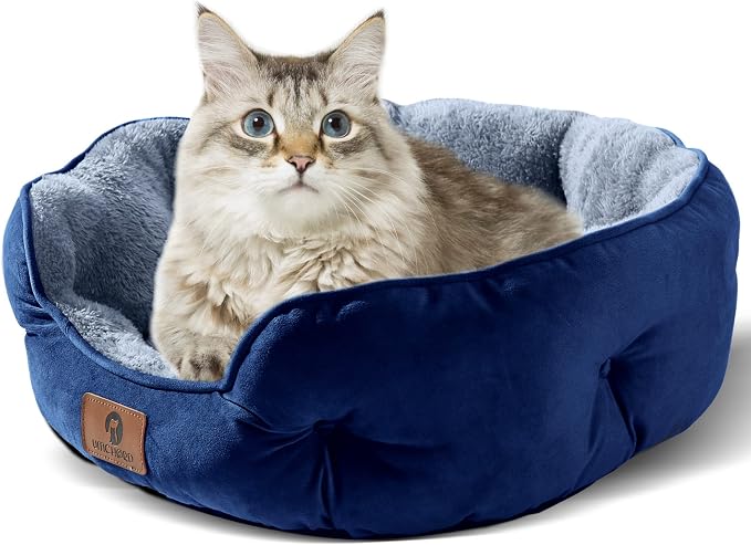 Asvin Small Dog Bed for Small Dogs, Cat Beds for Indoor Cats, Pet Bed for Puppy - Image 2