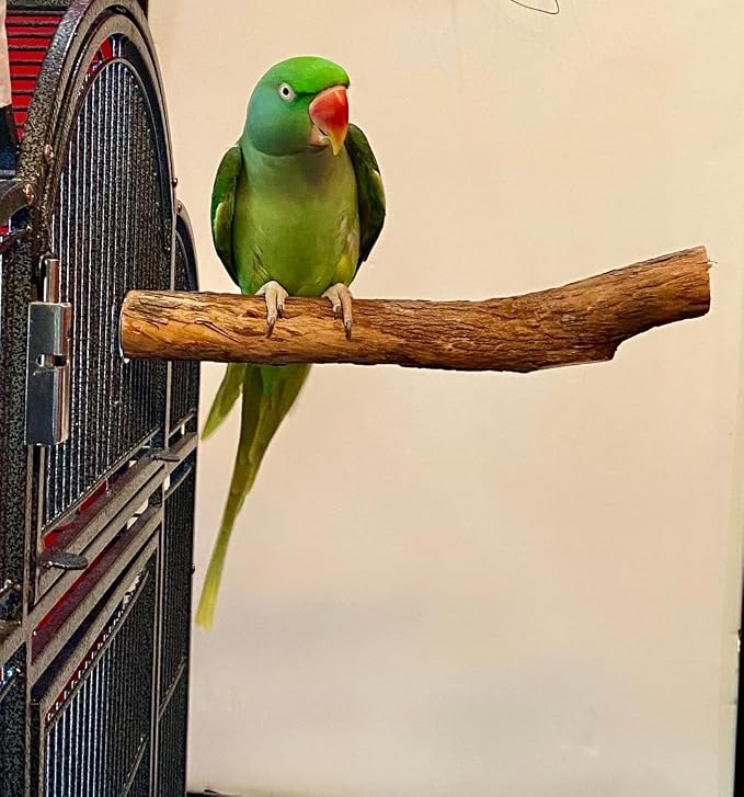 Polly's Hardwood Bird Perch - Image 2