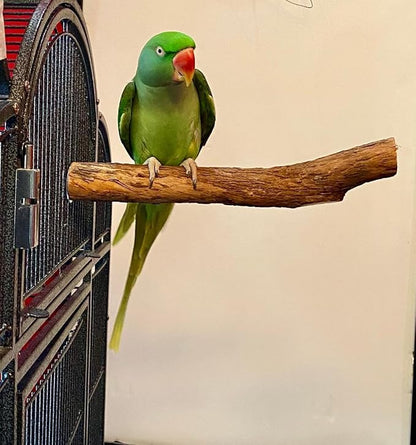 Polly's Hardwood Bird Perch - Image 2