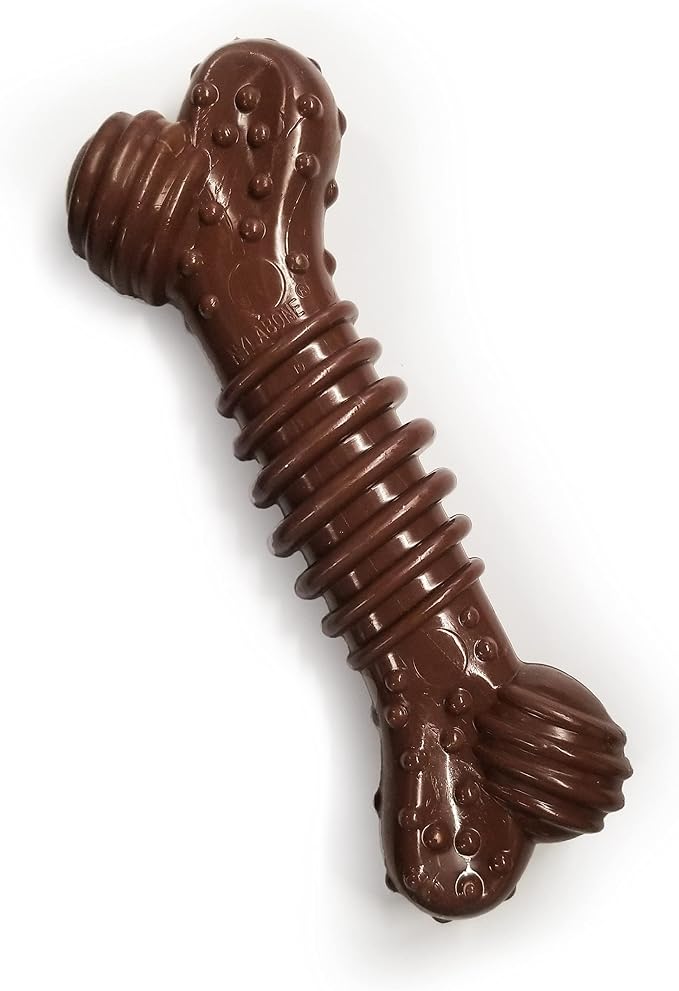 Nylabone Textured Dental Bone Power Chew Toy by Nylabone