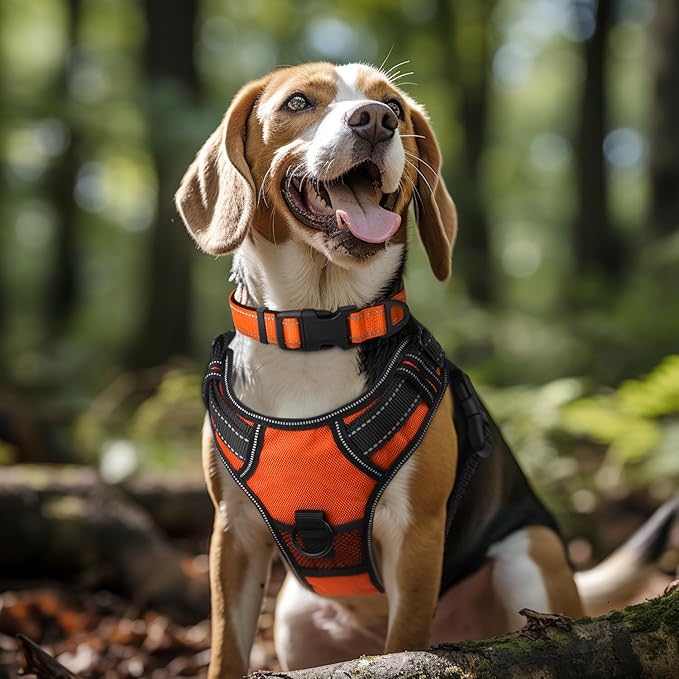 Joytale Reflective Dog Collar, Soft Neoprene Padded Breathable Nylon Pet Collar - Image 2