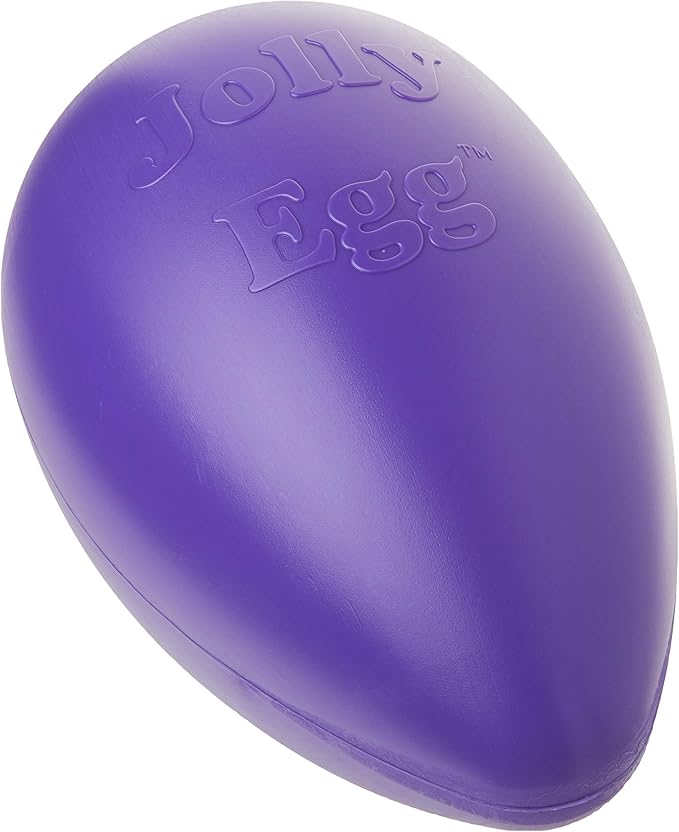 Jolly Pets Jolly Egg Dog Toy, 12 Inches/Large - Image 2