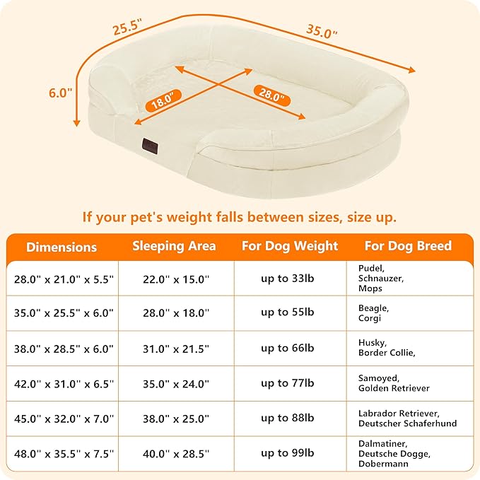 Dwanton Orthopedic Dog Bed for Medium Dogs - Image 4