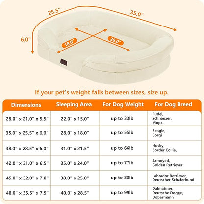 Dwanton Orthopedic Dog Bed for Medium Dogs - Image 4