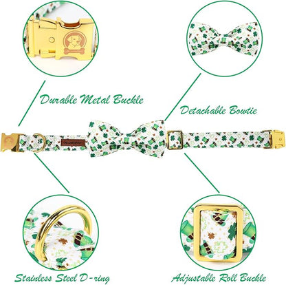 MR. CHUBBYFACE St.Patrick's Clover Dog Collar - Image 2