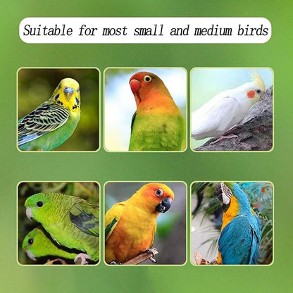 Automatic Acrylic Bird Feeder for Cage, No Mess - Image 4