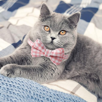 AIITLE Breakaway Cat Collar - Image 4