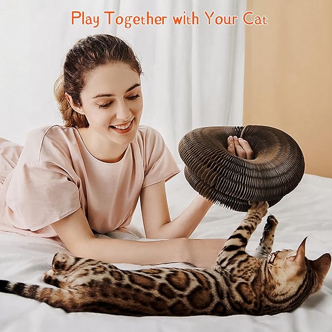 CusieryMax Cat Ball Adventure The Ultimate Interactive Mental & Physical - Image 4