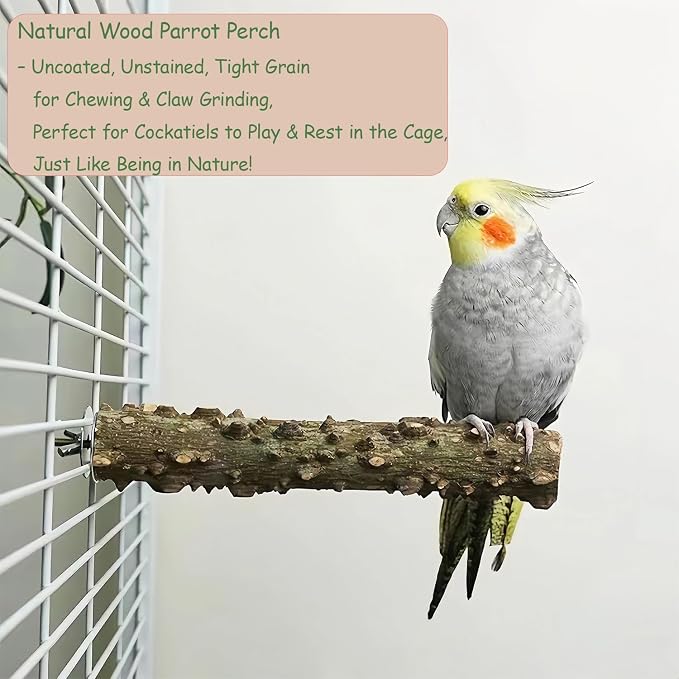 4 Pack Bird Perches for Cage - Image 4