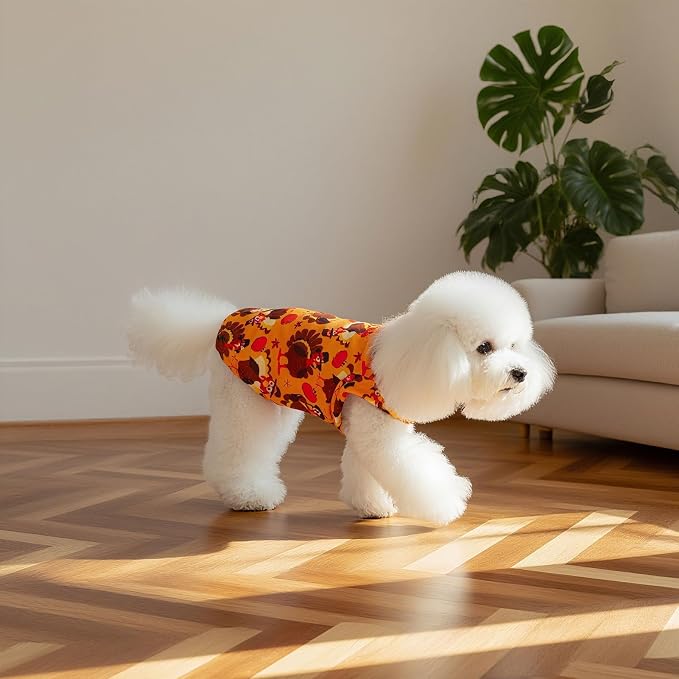 EXPAWLORER Thanksgiving Cat Sweater - Image 6