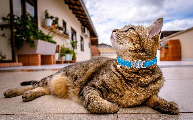 Heart Bling Cat Collar with Safety Belt and Bell Adjustable 8-10 inches - Image 6
