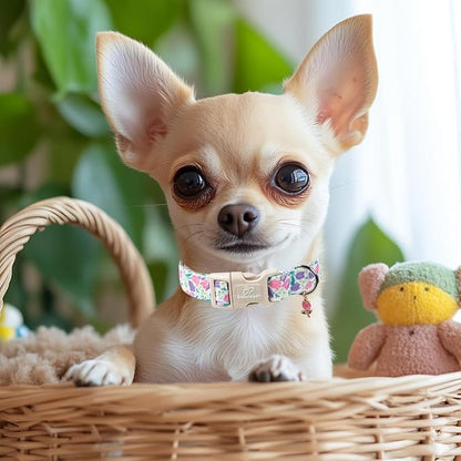 Floral Dog Collar for Small Dogs - Image 6