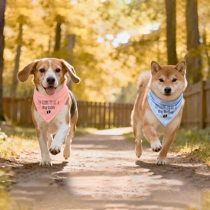 2 Pack Dog Bandana Pregnancy Announcement, I'm Going to Be a Big Brother Gender - Image 6