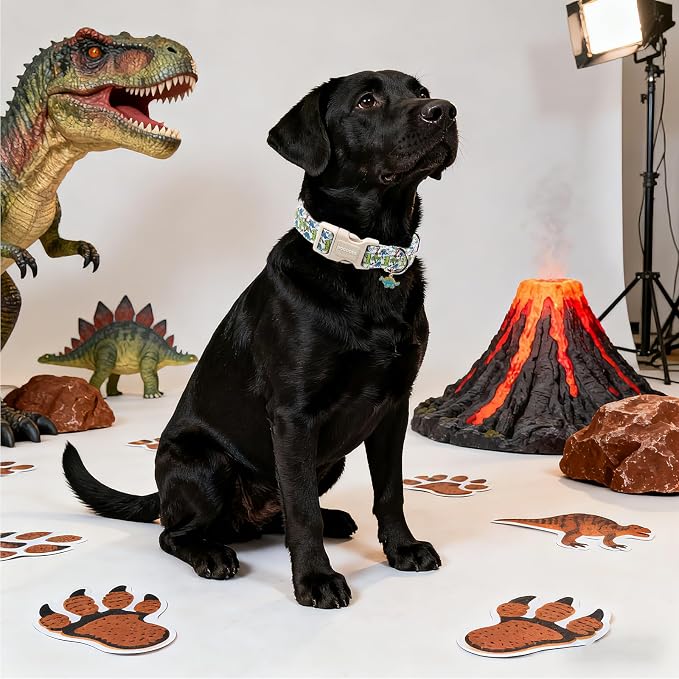 DOGWONG Dinosaur Dog Collar-Cute Green Dinosaur Dog Collar - Image 5