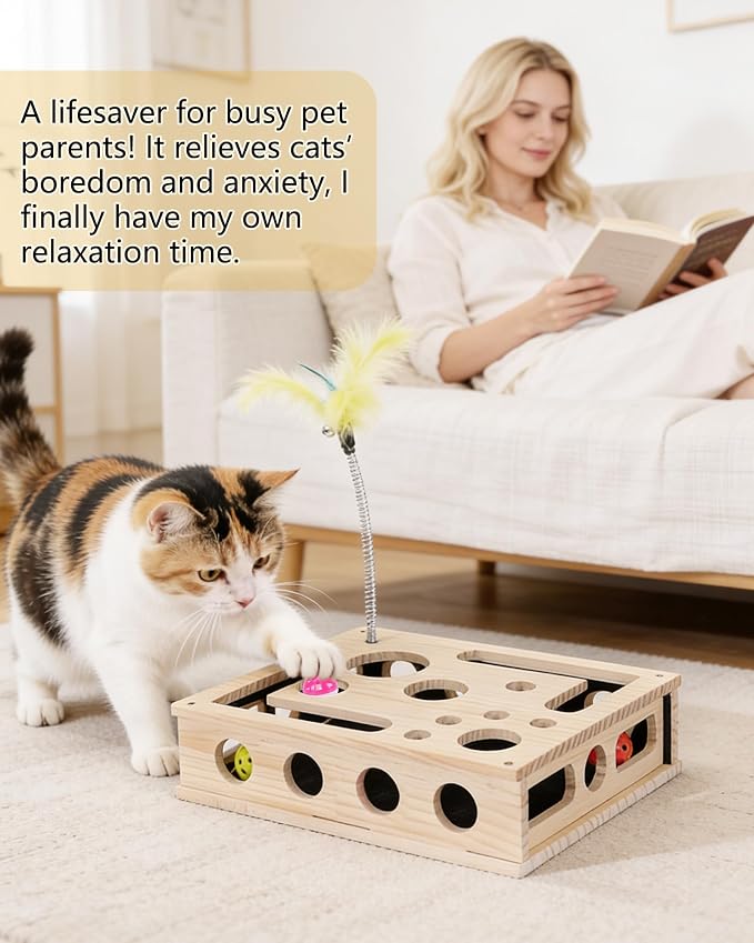Cat Interactive Box Puzzle Toy - Image 3