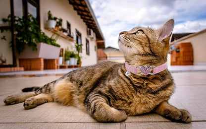 Heart Bling Cat Collar with Safety Belt and Bell Adjustable 8-10 inches - Image 5