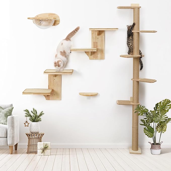 FUKUMARU Cat Wall Shelves, 2 Platform Kitten Wall Furniture, Tree Shape - Image 6