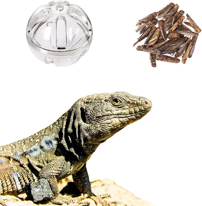 Bearded Dragon Feeder Toy Reptile Foraging Ball Lizard Enrichment Interactive - Image 6