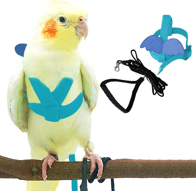 Dnoifne Pet Parrot Bird Harness and Leash, Adjustable Training Design Anti-Bite by Dnoifne