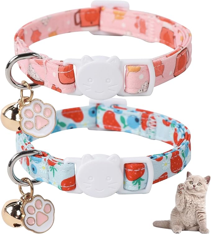 Unique Style Paws Kitten Collar, Cute Cat Collar by Uniquestylepaws