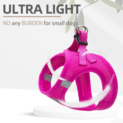 PUPTECK Adjustable Dog Harness Collar and Leash Set Step in No Pull Pet Harness - Image 6