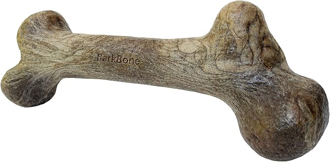 Pet Qwerks Dinosaur BarkBone by PetQwerks