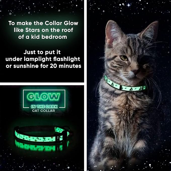 Pawtitas Glow in The Dark Cat Collar - Image 3
