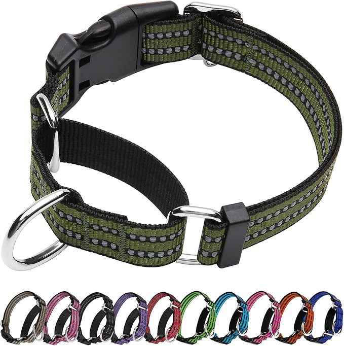Martingale Dog Collar, Adjustable Nylon Reflective Collar by JOYEEIIOO