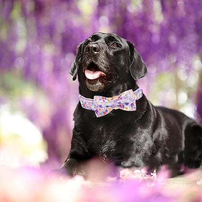 Elegant little tail Dog Collar, Rose Print Pet Collar Summer Dog Collar Durable - Image 6
