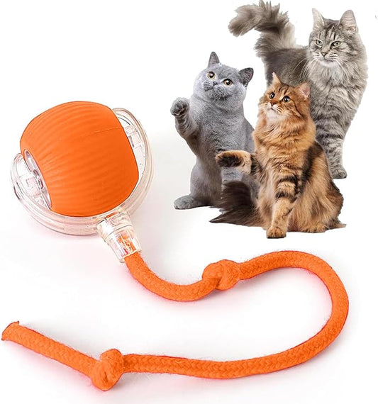 Rocfish Interactive Cat Toy for Indoor Cat, Smart Automatic Cat Chase Ball Toy by Unknown