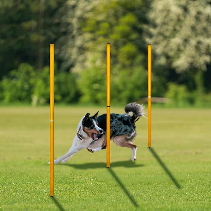 TNZMART 2.6 FT Dog Agility Obstacle Course Backyard Set Wave Poles and - Image 7