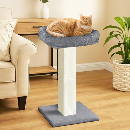 AGYM Cat Scratching Post, 32”Cat Scratcher - Image 2