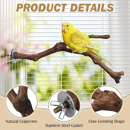 PINVNBY Natural Parrot Perch Grape Wood Bird Stand Pole Parakeet Paw Grinding - Image 3