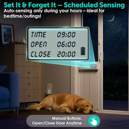 Automatic Sliding Glass Dog Door - Image 3