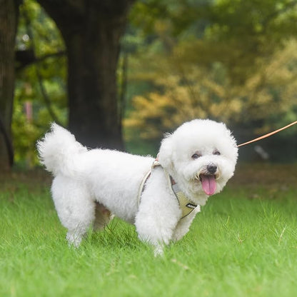 AIITLE Step in Dog Harness and Leash Set - Image 7