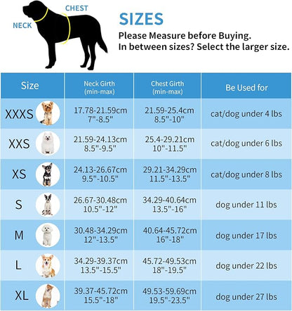 AIITLE Step in Dog Harness and Leash Set - Image 8