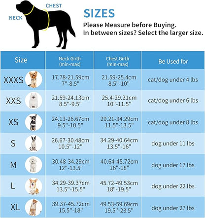 AIITLE No Pull Dog Harness and Leash Set, Step in Adjustable Dog Harness - Image 10