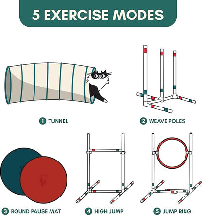 ALBERT & MIA CATGILITY Cat Agility Equipment + Clicker Trainer Guide – Exercise - Image 3