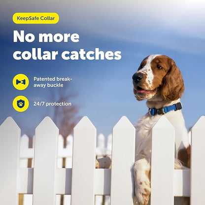 PetSafe KeepSafe Collar for Dogs - Image 2