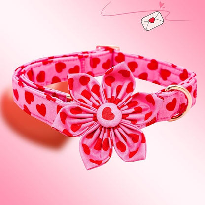 Lionheart glory Valentine's Day Dog Collar - Image 3