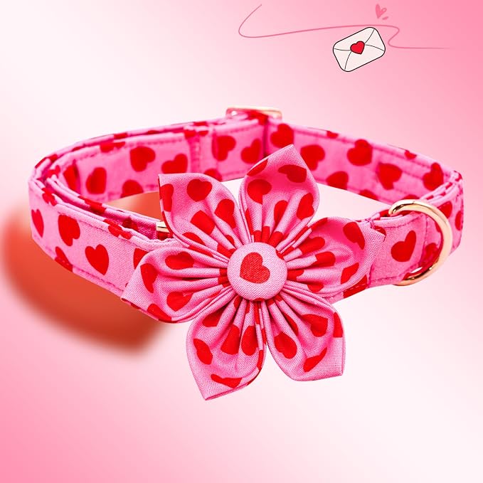 Lionheart glory Valentine's Day Dog Collar - Image 3