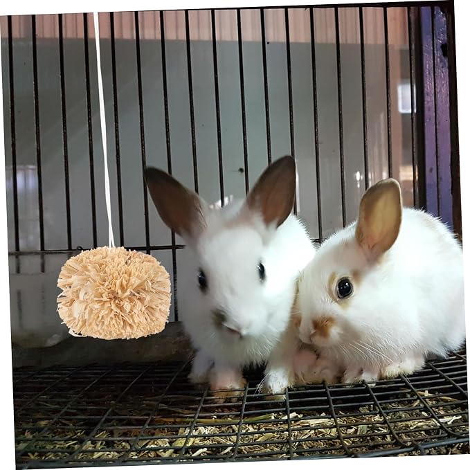 BESPORTBLE 2Pcs Small Bunny Molar Chew - Image 5