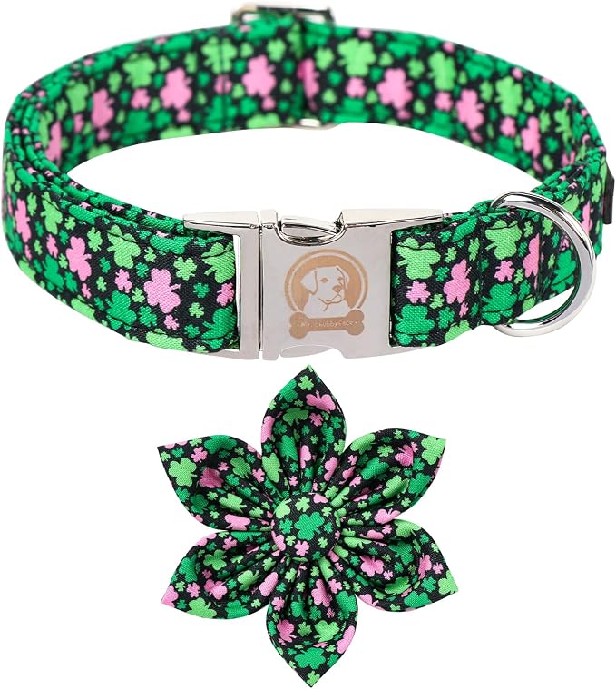 MR. CHUBBYFACE St.Patrick's Clover Dog Collar by MrChubbyfacePetSupplies
