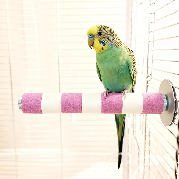 AOTU Natural Sandstone Parrot Perch Bird Toys – Durable Beak & Claw Trimming by AOTU