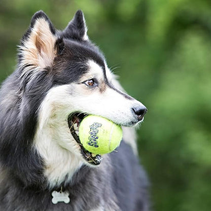 KONG Air Dog SqueakAir Dog Toy Tennis Balls - Image 3