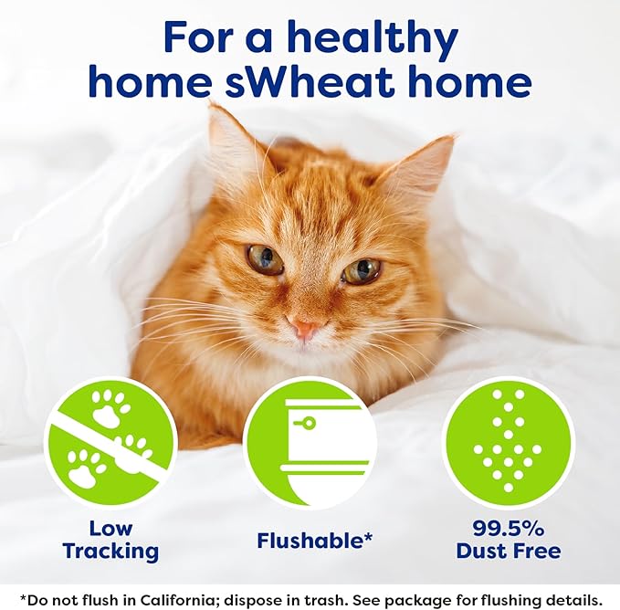 sWheat Scoop Natural Wheat Multi-Cat Litter, Superior Clumping - Image 5