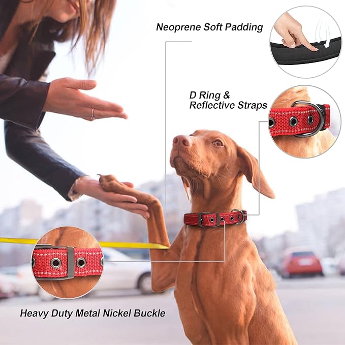 PetiFine Dog Collars for Medium Dogs, Neoprene Padded and Adjustable, - Image 2